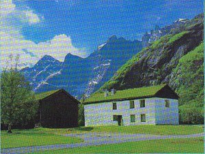 ner-hole1